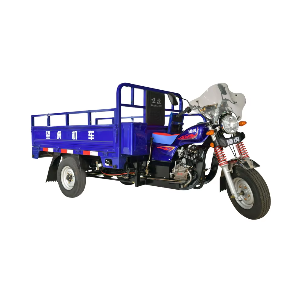 Electric Tricycle Tuk Tuk Wheel Passenger Rickshaw