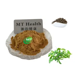 High Quality Plant Extrat Brahmi Extract ISO Factory Bacopa Monnieri Extract