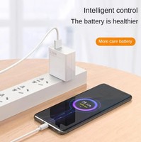 Cargador Rápido USB Gold Standard de 120W, Adaptador de Corriente para Teléfono Móvil, Auriculares y Cámara (US/EU) QC3.0/PD 5V/3A Ecológico