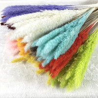 Bán Buôn Trang Trí Nhân Tạo Khô Bất Tự Nhiên Fluffy Lông Secos De Pampass Bó Hoa Nhỏ Màu Hồng Trắng Cỏ Pampas