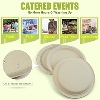 Assiette de fête jetable écologique de 10 pouces en bagasse de canne à sucre polie, classique, biodégradable et compostable