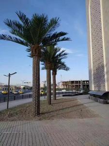 Tùy Chỉnh 4M 6M Lớn Ngoài Trời Trang Trí Nhân Tạo Cây Cọ Nhiệt đới Cây Cây Thủy Tinh Cây Cho Sân Chơi Thanh Bãi Biển - Product Image 5