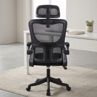 Chaise de bureau ergonomique moderne en maille pour la maison - Montage rapide, design extensible, accoudoirs relevables, appuie-tête réglable 2D