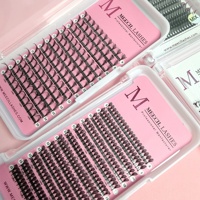 Nouvelles extensions de cils Comic Wings améliorées, éventails pré-faits en plumes pour un volume doux, super doux, faits à la main, haute qualité 0,05 mm, forme en spirale