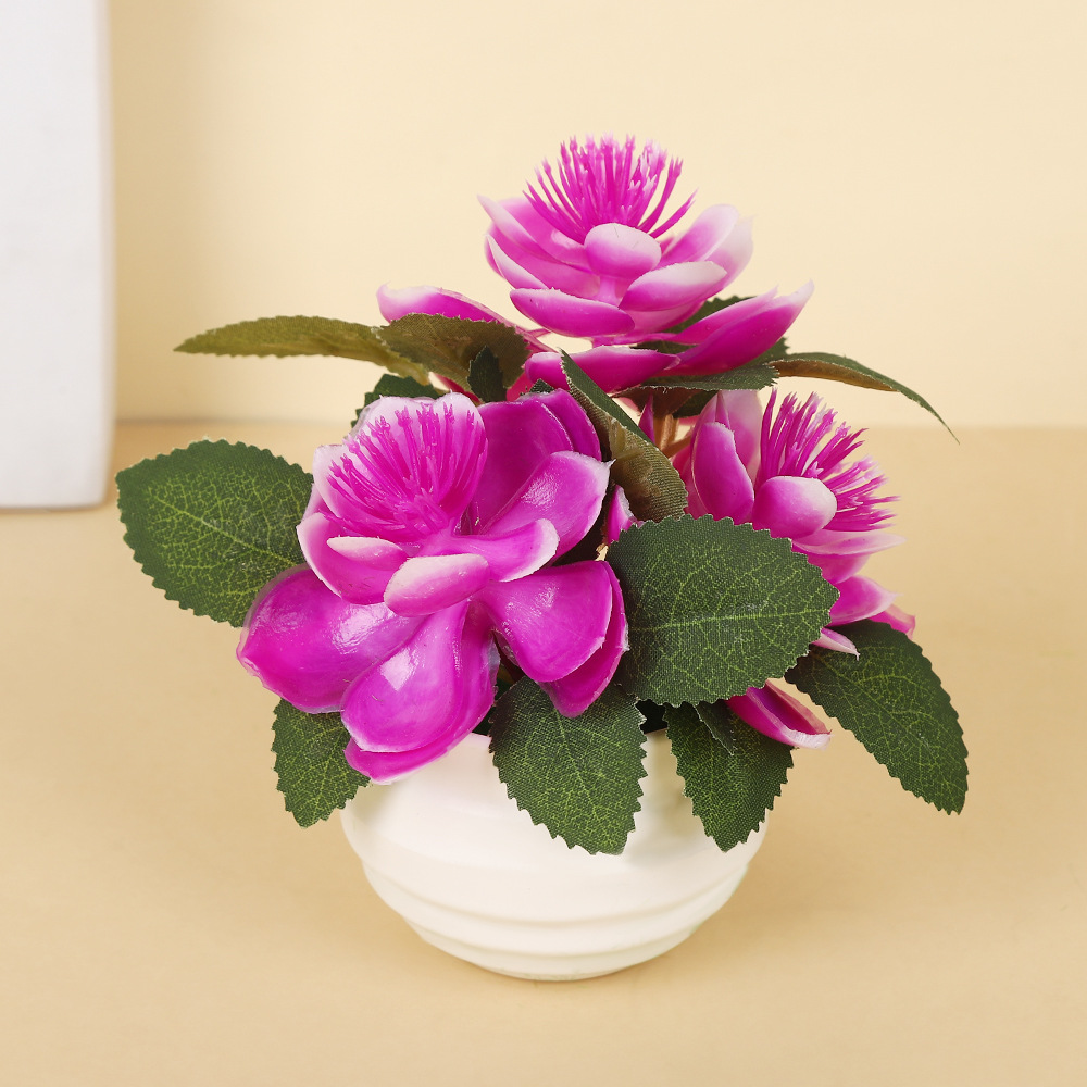 Pourpre