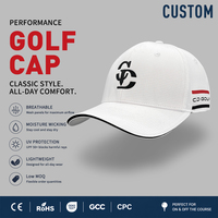Hoge kwaliteit katoenen op maat geborduurde golf- en baseballpetten fabriek groothandel gepersonaliseerd logo ademende pet