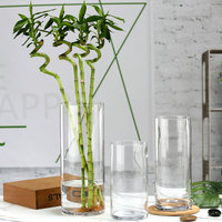 Vase décoratif simple de grande taille transparent sur pied droit pour le salon Contenant de fleurs