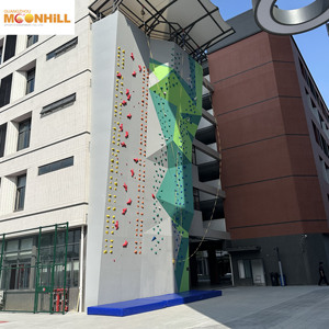 Muro de Escalada de Roca de Alta Velocidad para Interiores y Exteriores, Nuevo Diseño - Product Image 5