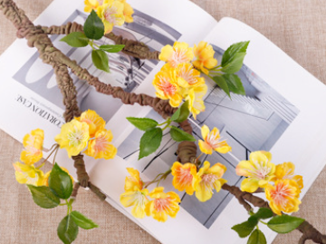 สีเหลือง