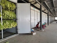 Machine de séchage de feuilles de tabac professionnelle à pompe à chaleur électrique Hello River avec pinces de fixation certifiées CE