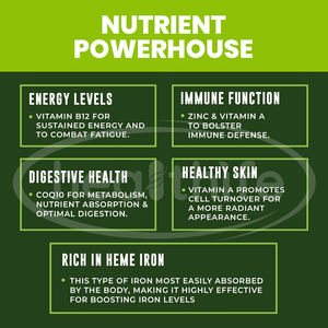 Supplément d'organe de boeuf Healthife foie nourri à l'herbe coeur pancréas rein poumon rate moelle osseuse 7 organes de boeuf capsule complexe - Product Image 4