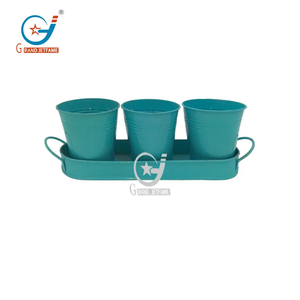 Bộ Ba thân thiện với môi trường kim loại Vườn Thảo mộc thịt đầy màu sắc thực vật chậu hoa nhỏ trên khay mạ kẽm - Product Image 2