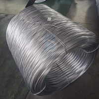 Fil d'acier galvanisé à chaud de qualité supérieure, fourni directement par l'usine, 0,5 mm, 1 mm, 2 mm, 3 mm, 4 mm, bobine d'acier galvanisé à faible prix