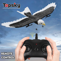 Simulation électrique sans fil Eagle Foam RC Plane Toys Remote Control Glider Airplane Boys Outdoor Game Flying Toys Batteries