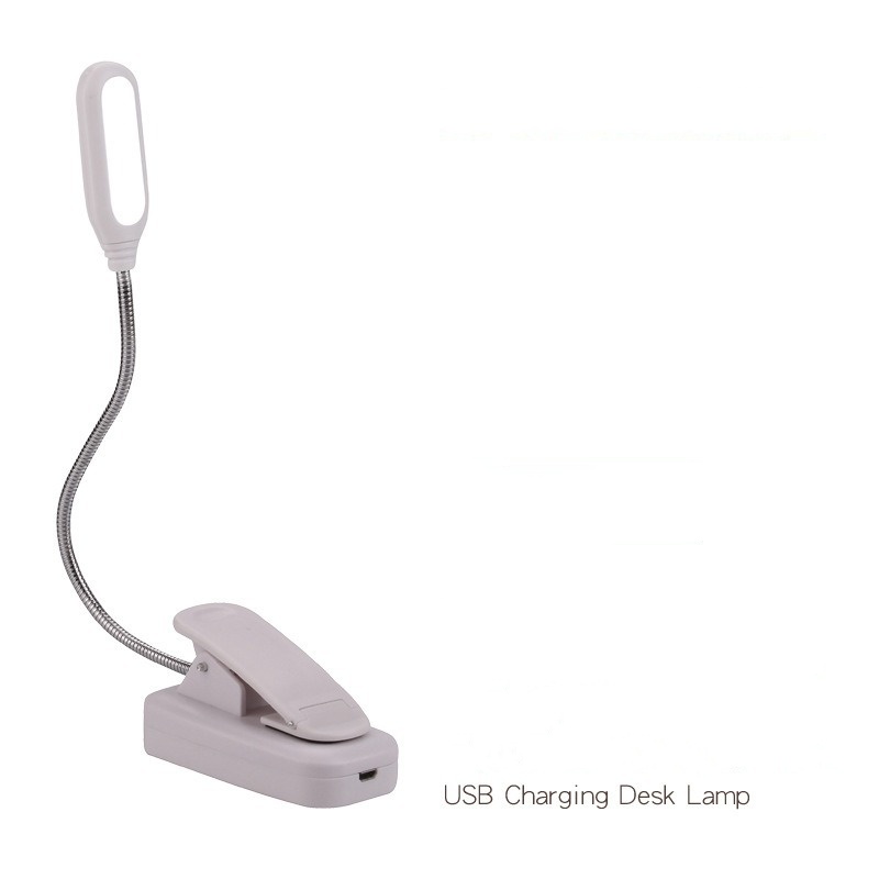 Rechargeable style D