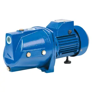 RUIQI-motor eléctrico autocebante serie JSW10M, bomba de agua de chorro de 1HP, color azul italiano