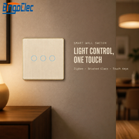Interrupteur mural intelligent Zigbee 1/2/3/4 voies, interrupteur tactile pour éclairage, panneau en verre brossé, touches lumineuses, or, argent
