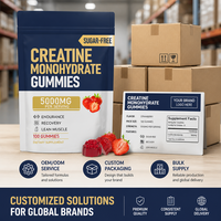 Créatine Monohydrate OEM en Poudre Instantanée 5000mg Sans Sucre Végétalienne Saveur Fraise pour l'Endurance, la Récupération et la Masse Musculaire Maigre des Adultes