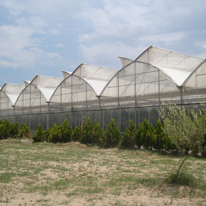 Single-Span Agricultural Greenhouse <b>Large</b> Film Cover Galvanized Steel Frame - Product Image 6