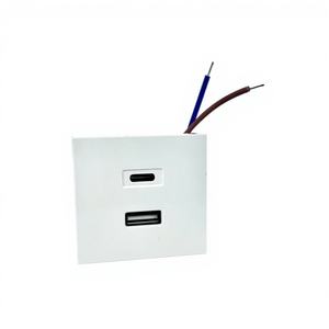 工厂热销 45*45 毫米智能电源插座，带 USB Type-C 快速充电 - 直流壁式插座 - Product Image 1