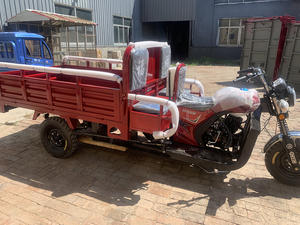 Tricycle à essence à trois roues, tricycle <span class=keywords><strong>cargo</strong></span> à essence avec fourgon ouvert profond, moto de livraison, camion à essence pour adultes, moteur 200CC - Product Image 4