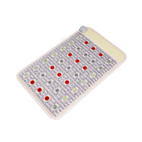 PEMF Bio coussin chauffant thérapie thermique couverture de Sauna infrarouge impulsion champ électromagnétique lumière rouge soulagement de la douleur tapis d'améthyste