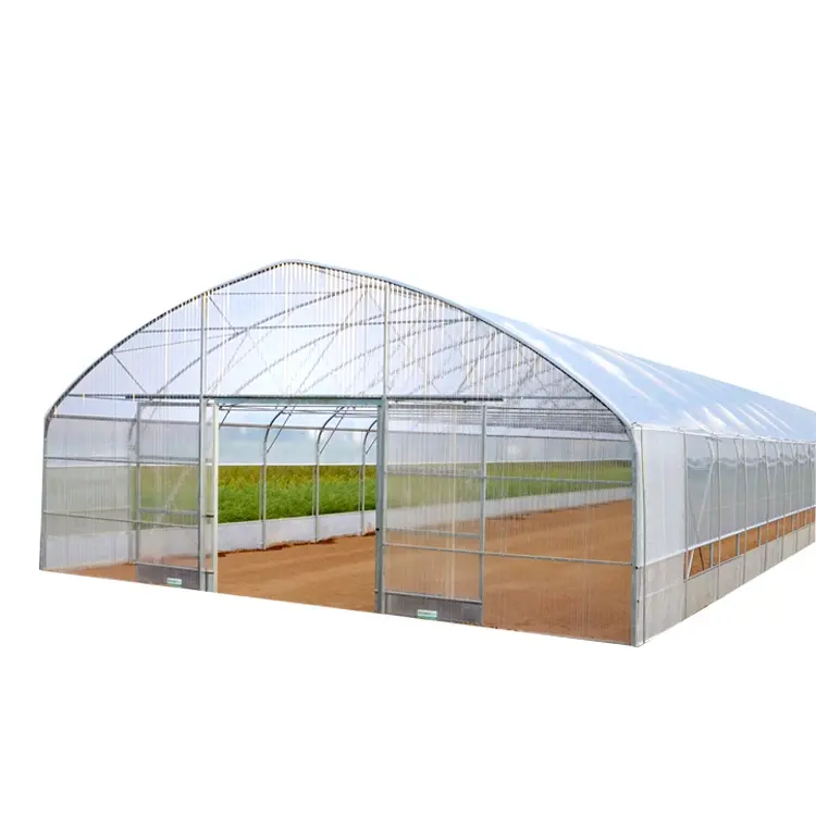 Cerceau agricole cadre en acier Tunnel vert maison Structure serre 8*30M hauteur 3M pour la vente de conteneurs complets