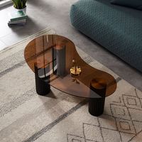 Table basse mobile de style nordique compacte et luxueuse avec structure métallique, mobilier de salon moderne et minimaliste, populaire