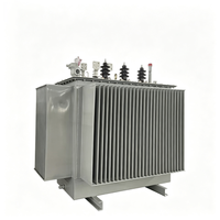 Transformador trifásico de 30kva 50kva 80kva 100kva 150kva 200kva 250kva 315kva 400kva 600KVA, de 6/11/22/33kv a 380v, sumergido en aceite