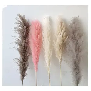 Customized Amazon Hot Selling Boho Home Decor Pampas Grass Tall