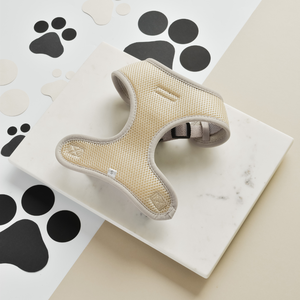 Harnais Réglable et Doux pour Chien Rembourré en Néoprène Air Mesh Léger avec Logo Personnalisé et Fermeture à Bouton - Product Image 2