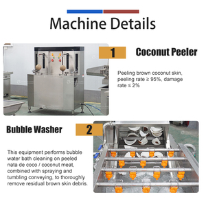 Medium Scale Coconut Milk Processing Line Coconut Peeling, Washing, Grinding and Milk Extracting Machine - Product Image 2