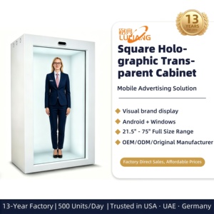 Caja Holográfica 3D Interactiva de 32 Pulgadas para Interiores, <span class=keywords><strong>Pantalla</strong></span> LCD Transparente de Tamaño Real, Gabinete con <span class=keywords><strong>Pantalla</strong></span> Táctil Antideslumbrante OEM en Tiempo Real - Product Image 6