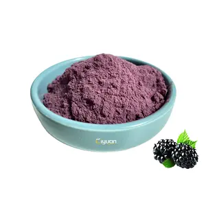 Suplemento nutritivo de fábrica, producto en polvo de zumo de fruta de Blackberry, precio al por mayor