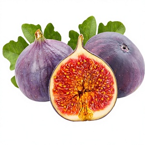 ผงไฟคัสคาริก้าผงไฟคัสคาริก้าสกัดจากไทร์ธรรมชาติคุณภาพสูง - Product Image 3