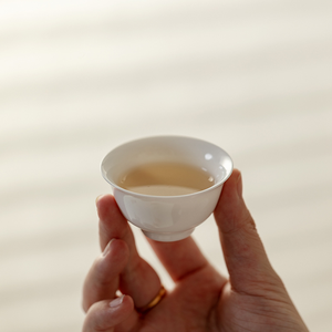 Set da Tè in Porcellana Bianca di Alta Qualità, Tradizionale Set da Tè Cinese Gongfu con Teiera Portatile <span class=keywords><strong>e</strong></span> 3 Tazze in Ceramica per Casa <span class=keywords><strong>e</strong></span> Viaggio - Product Image 6