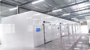 Porte coulissante de chambre froide négative pour le congélateur de plain-pied et le stockage plus frais de fruits de mer Hôtels Prix concurrentiels - Product Image 6