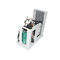 Système de refroidissement d'eau à air comprimé FS 0.8HP pour bain de glace, pompe de plongée froide à recirculation, usage domestique et hôtelier, 2000W DC 24V 48V