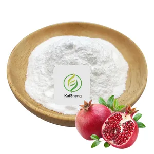 Wholesale Anti-Aging CAS 1139-83-9 Urolithin B Powder Urolithin B