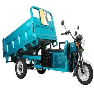 Electric Freight Vehicle2 Chinese 3 Wheeled Electric Freight Vehicles Electric Tricycles Tricycle