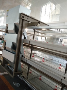 20 Năm Trung Quốc Cung Cấp H Loại Pin Gà Thịt Lồng GÀ ĐẺ TRỨNG 5 Tầng Lớp Lồng Gà Để Bán - Product Image 6