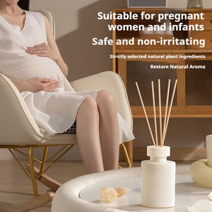 Désodorisant d'intérieur écologique sans feu, sans alcool, pour usage domestique, chambre à coucher, toilettes, anti-moustiques - Product Image 2