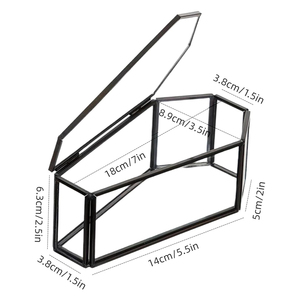 Boîte de rangement en verre multifonctionnelle en forme de cercueil avec cadre en métal noir pour plateau à parfums et organisateur de bibelots anti-poussière - Product Image 4