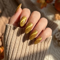 15ml Striker Cat Eye Magnétique Gel Vernis À Ongles Nude Couleur Semi-Permanent Tremper DIY Application avec Source de Lampe LED