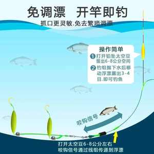 Kit de pêche à la carpe en lac avec double hameçon, style européen, flotteur à bascule, accessoire pour canne à main et canne à pêche en mer - Product Image 1