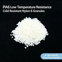 Granulés de nylon PA6 renforcés résistants aux basses températures -20°C ° Granulés de polyamide 6 modifiés par impact pour pièces automobiles