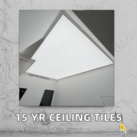 Revestimiento de Techo en Rollo MSD Premium con Garantía de Calidad de 15 Años, PVC Perforado, Resistente al Fuego, 3D, para Grandes Áreas, Exteriores, Hoteles y Centros Comerciales