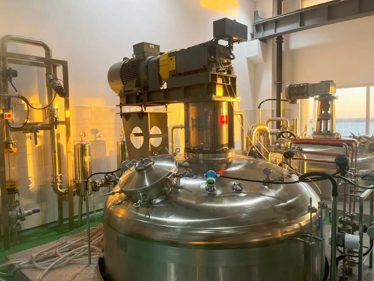 Stirred tank fermentor Bailun Industrial Fermentation Equipment Stainless Steel Bioreactor