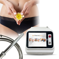 Gynécologie 980 1470nm L Ser Traitement de l'atrophie vaginale, des fibromes utérins et ovariens, Hémorroïdes, EVLT, PLDD, ENT, en clinique chirurgicale