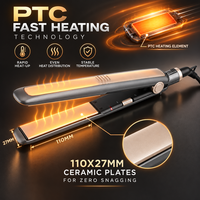 Catokan Rambut Dual Voltage 100-240V Lapisan Keramik Portabel dengan Saklar Pengunci untuk Salon Grosir Pabrik B2B